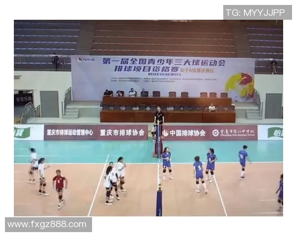 重庆排球队在全国排球意识排行榜中荣登第九名展现出强大实力与潜力